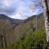 Le col d'Aillos en montant au Cagire à partir du Gîte